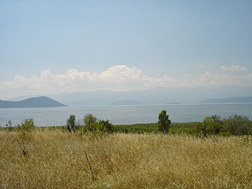 Глетка од Преспанското Езеро во месноста Маркова Нога, близу селото Долно Дупени