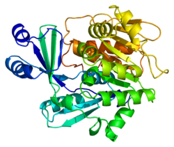 Протеин ADK PDB 1bx4.png