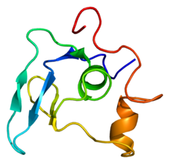 Protein FBN1 PDB 1apj.png