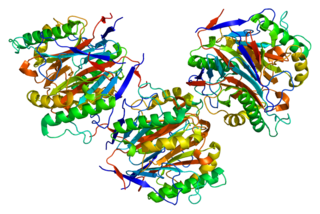 <span class="mw-page-title-main">Heat-responsive protein 12</span> Protein-coding gene in the species Homo sapiens