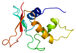 PDB в комплексе с 1irf.