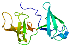 Protein KIN PDB 2ckk.png