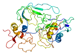 Protein TIMP2 PDB 1bqq.png