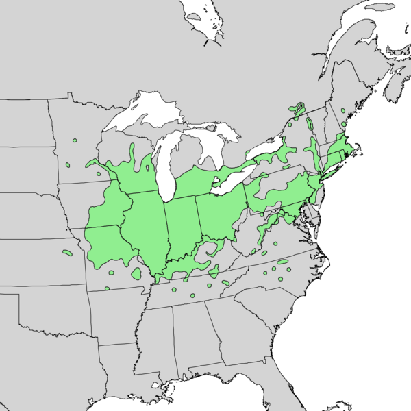 File:Quercus bicolor range map 1.png