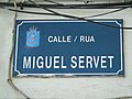 Miguel Servet Rúa