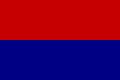 ROU SM Carei Flag.svg