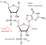 Нова SVG слика