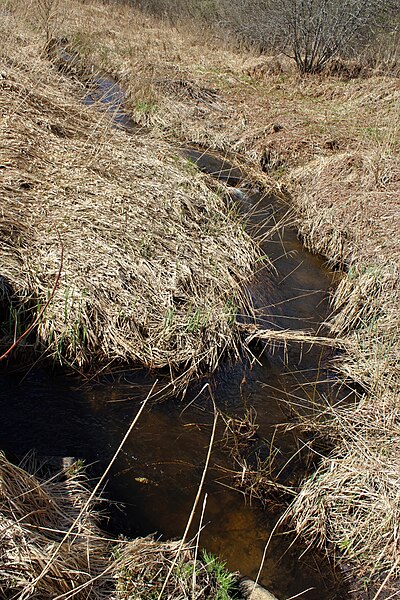 File:River Vēžaunīca next to railway Pļaviņas - Gulbene.jpg