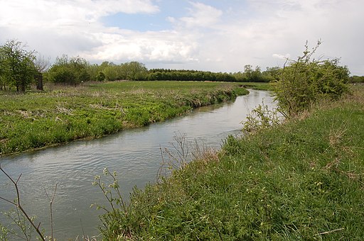 River Windrush near Newbridge, Oxfordshire - geograph.org.uk - 1841412