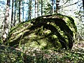 Rock Corral on the Barlow Road Brightwood vicinity