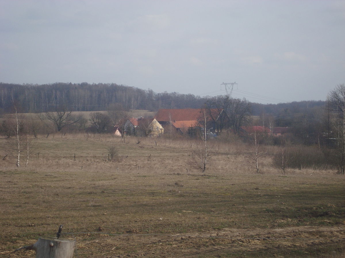 Рогово луганская. Рогово. Село Рогово Луганская область.