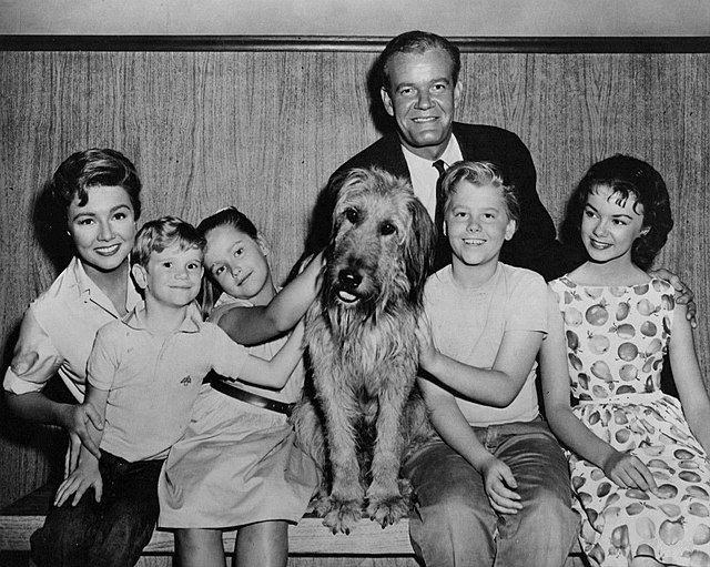 Peggy McCay, Ronnie Dapo, Carol Nicholson, Tramp the dog and Andrew Duggan, Tim Rooney and Ahna Capri in Room for One More (1962)