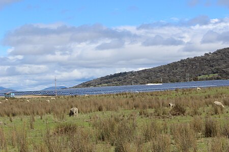 Tập tin:Royalla Solar Farm 4.JPG