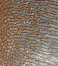 Rub' al Khali (Arabian Empty Quarter) sand dunes imaged by Terra (EOS AM-1). Most of these dunes are seif dunes. Their origin from barchans is suggested by the stubby remnant "hooks" seen on many of the dunes. Wind would be from left to right.