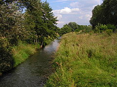 Rivière Rudawa et paysage environnant