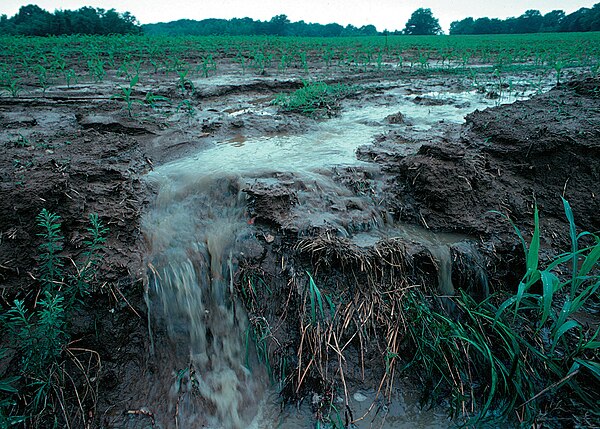 Surface runoff, a potential pathway for nonpoint source pollution, from a farm field in Iowa during a rain storm