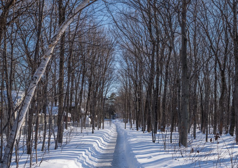 File:Sainte-Foy, Quebec city.tif