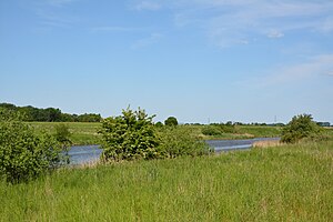 Schleswig-Holstein, Dithmarschen, Landschaftsschutzgebiet Speicherkoog Dithmarschen (Nordkoog) NIK 2909.jpg