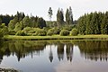 Miniatyrbild för versionen från den 21 maj 2019 kl. 18.42