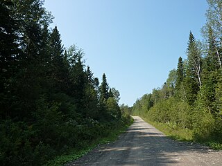 <span class="mw-page-title-main">Seignory of Lac-Matapédia</span> Forest in Quebec, Canada