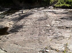 Permian glacial pavement at Selwyn Rock.