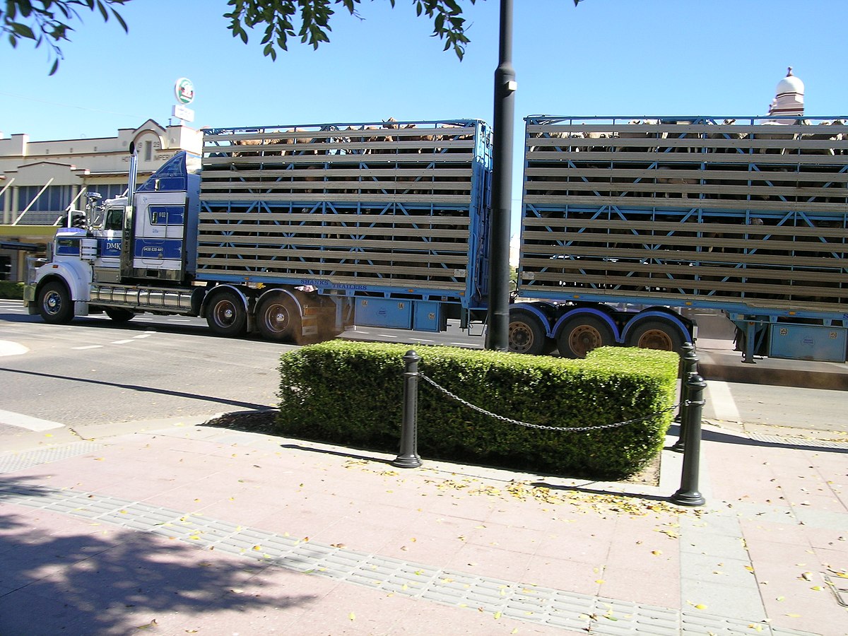 Livestock Transportation Wikipedia