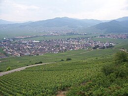 Sigolsheim – Veduta