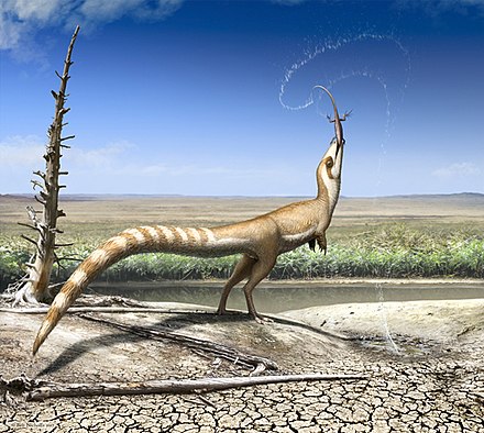 Sinosauropteryx Wikiwand