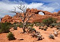 The Skyline arch at Arches National Park.