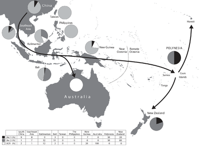 Proposed route for the migration of dogs based on mtDNA. Haplotype A29 relates most to the Australian dingo, the New Guinea singing dog, and some dogs on Kalimantan in Indonesia; the ancient Polynesian Dog haplotype Arc2 to modern Polynesian, Indonesian and ancient New Zealand dogs; and the ancient Polynesian Arc1 is indistinguishable from a number of widespread modern haplotypes. South East Asia island dog migration.png
