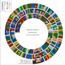 Spiral display of an alignment of multiple protein sequences. Spiral Multiple Sequence Alignment.png
