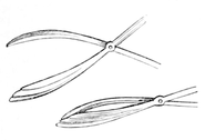 Point of lazy-tongs, which a séance participant may have felt “scratching, striking, and pulling” him.