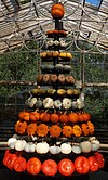 Calabazas blancas, verdes y naranjas integradas en forma de árbol de Navidad