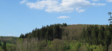 Stahlseifer Kopf von Süden