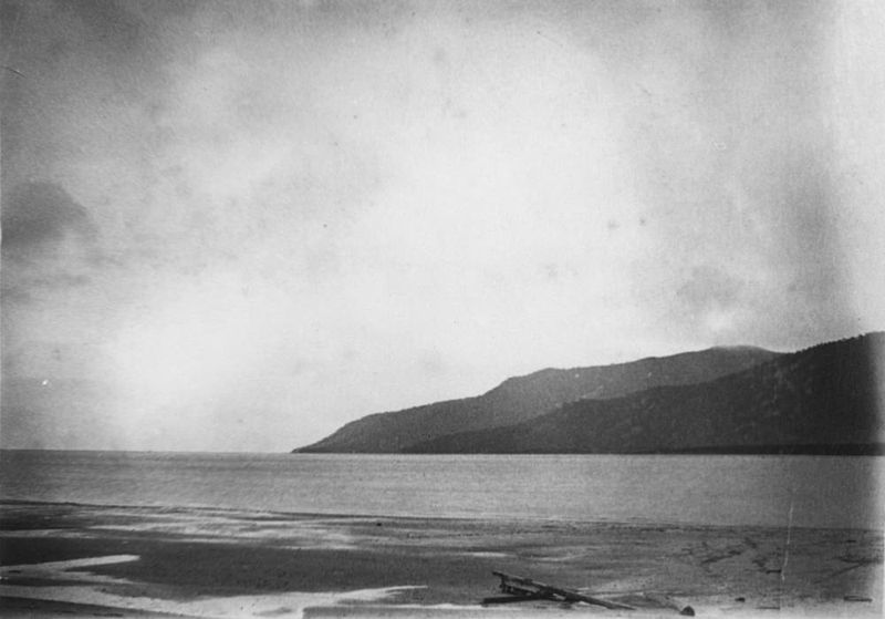 File:StateLibQld 1 136037 Shoreline in the Cairns district, North Queensland, 1886.jpg