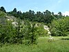 Braunenbäumle quarry.jpg