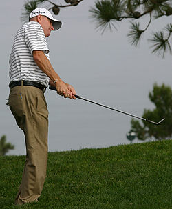Стив Флеш Открытый чемпионат США-2008 cropped.jpg
