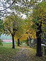 Sachgesamtheit Ehem. Tiergarten und Stadtpark, mit Einzeldenkmalen: Mauerreste des alten Tiergartens, Parkanlage unterhalb der Burg, die Lindenallee westlich der Burg entlang des Promenadenwegs sowie die südlich davon befindliche Fläche des ehem. Tiergartens als Sachgesamtheitsteil