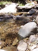 Stream near Lake Traful - panoramio.jpg