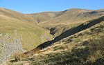 Stybarrow Dodd