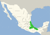 Symphyotrichum schaffneri distribution map