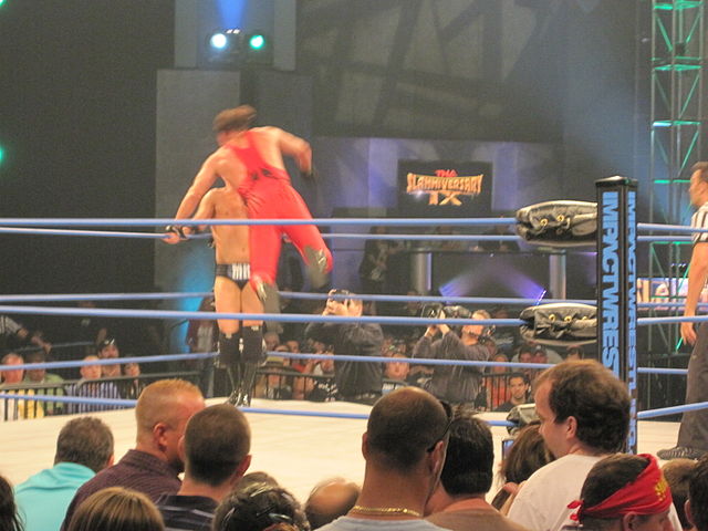TNA Slammiversary Sting vs. Mr. Anderson Stingsplash.jpg