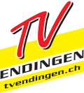 Vorschaubild für TV Endingen