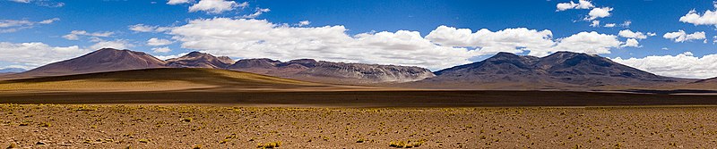 File:Tatio torta tocorpuri.jpg