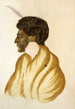 Te Raparaha, chief of the Kawias, watercolour by R. Hall, c. 1840s cropped.png