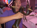 Thailand Lobster-TômcàngTL-HPIM2145.PNG