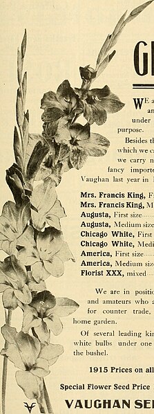 File:The American florist - a weekly journal for the trade (1914) (17956867658).jpg