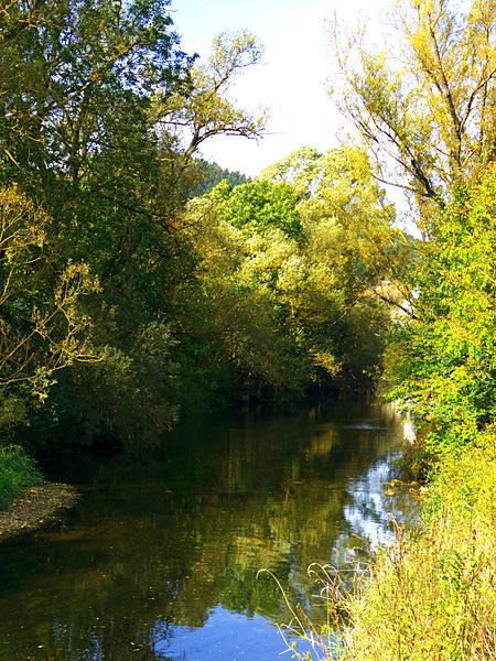 File:The Danube - panoramio (3).jpg