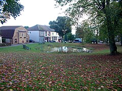 The pond at Tatsfield, TN16 - geograph.org.uk - 68152.jpg