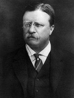 Theodore Roosevelt-Pach